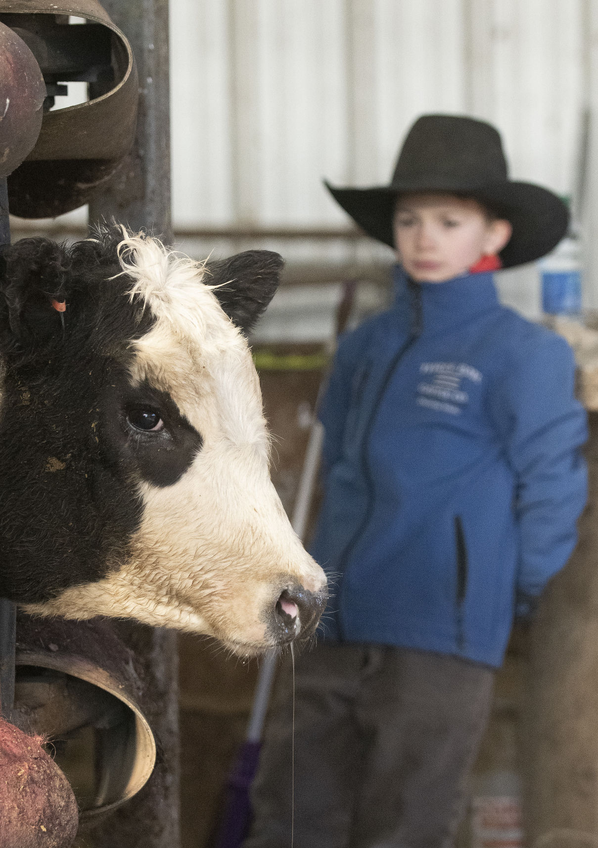 Ranchers deal with fallout from Badger Fire